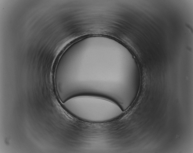 X0000102040932200807181026