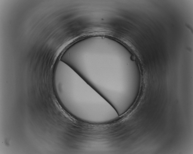 X0000102040933200807181026