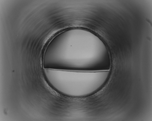 X0000102040934200807181026
