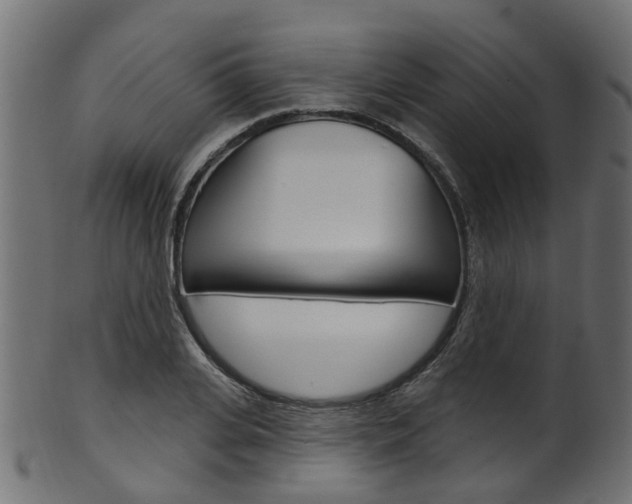 X0000102040935200807181026