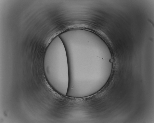 X0000102040937200807181026