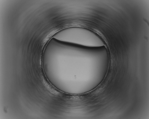X0000102040938200807181026