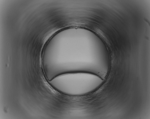 X0000102040940200807181026