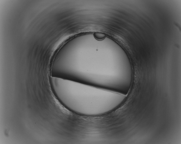 X0000102040942200807181026