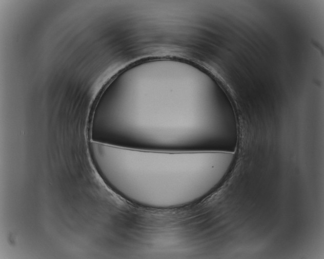 X0000102040943200807181026