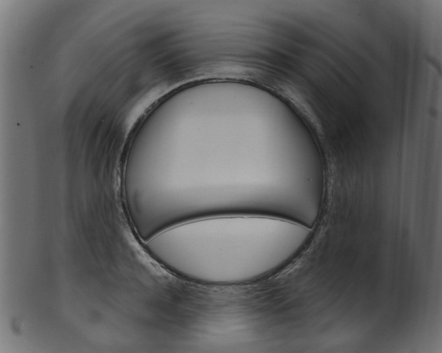 X0000102040944200807181026