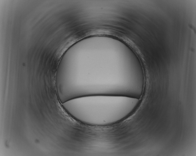 X0000102040945200807181026