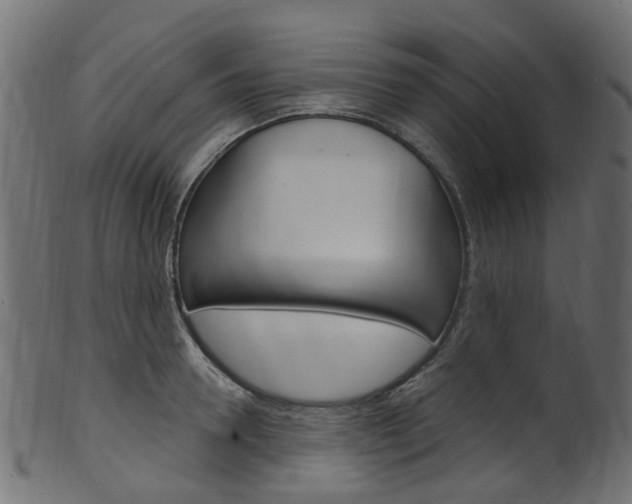 X0000102040946200807181026