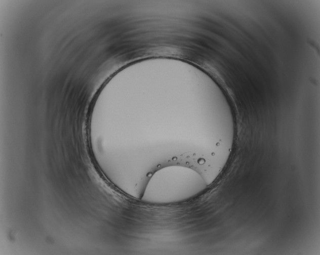 X0000102040947200807181026