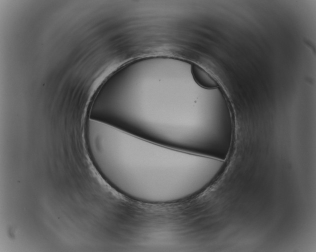 X0000102040949200807181026