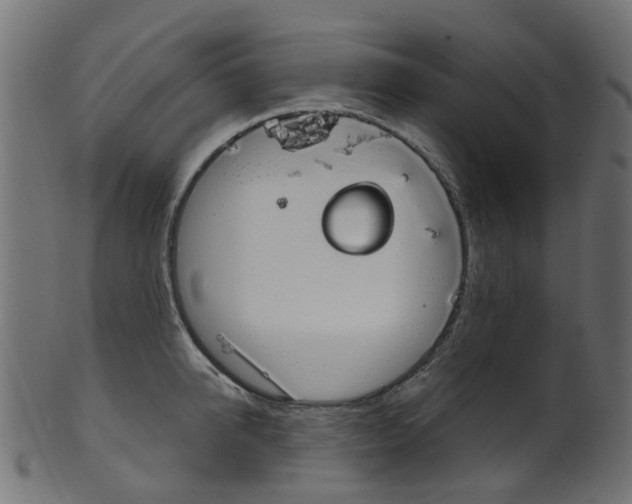 X0000102040950200807181026