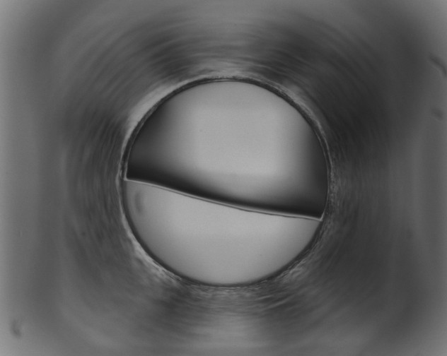 X0000102040951200807181026