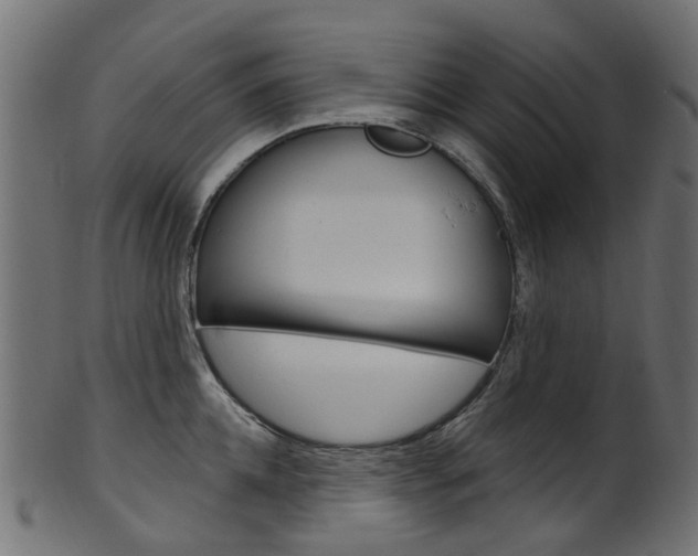 X0000102040952200807181027