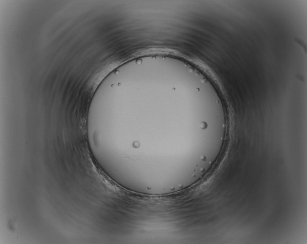 X0000102040953200807181027