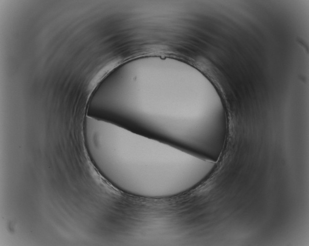 X0000102040954200807181027