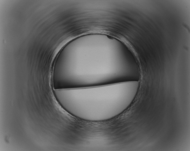 X0000102040955200807181027