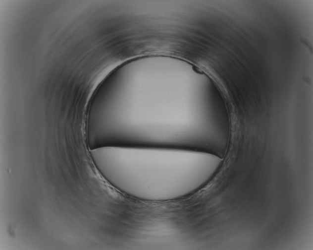 X0000102040956200807181027