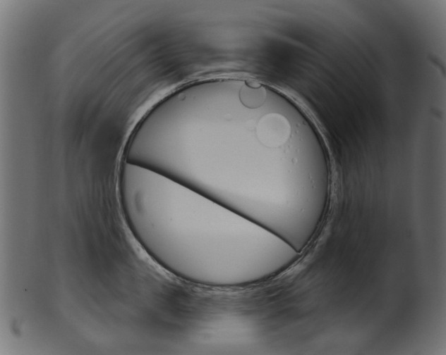 X0000102040957200807181027