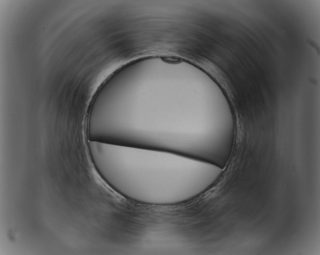 X0000102040958200807181027