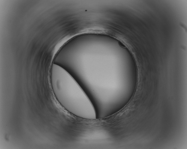 X0000102040960200807181027