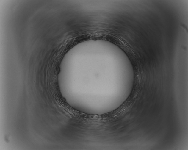 X0000102040961200807181026