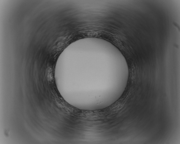 X0000102040962200807181026