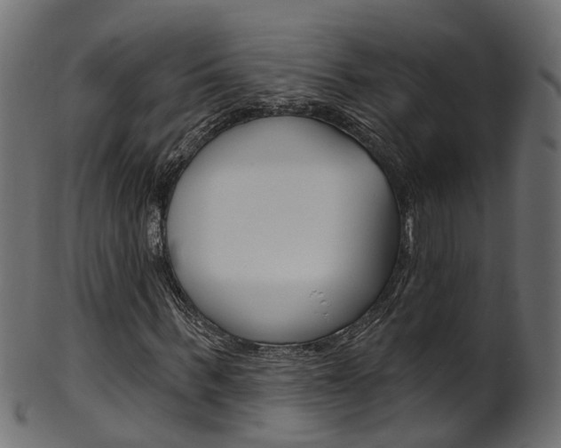X0000102040963200807181026