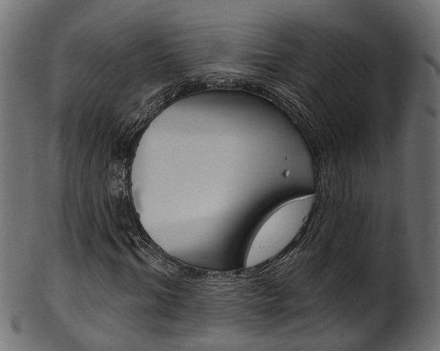 X0000102040964200807181026