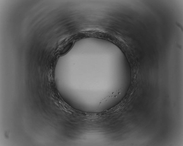 X0000102040965200807181026