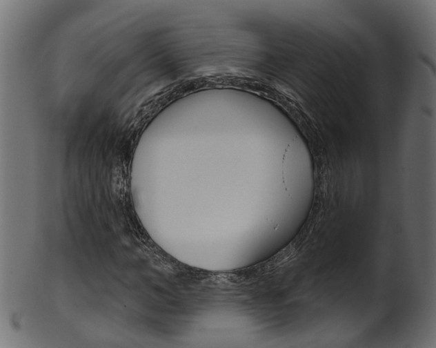 X0000102040966200807181026