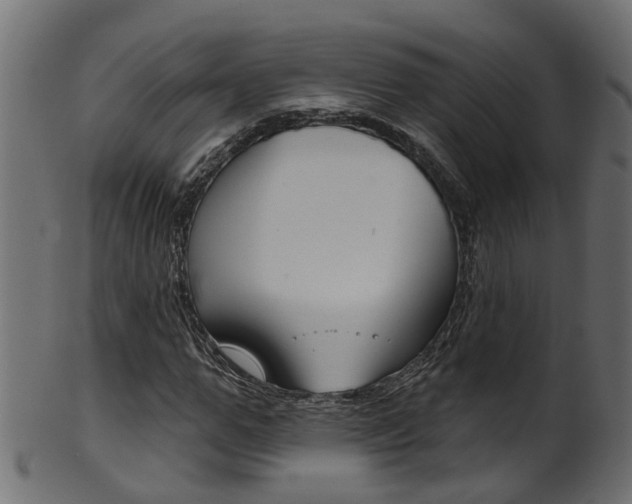 X0000102040967200807181026