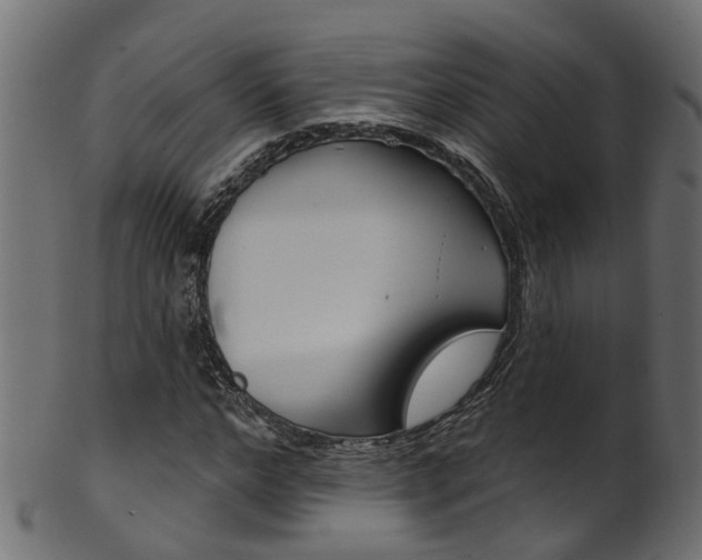 X0000102040968200807181026