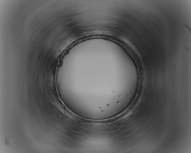 X0000102040969200807181026