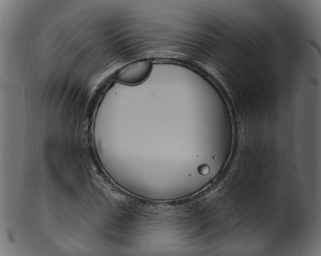 X0000102040971200807181026
