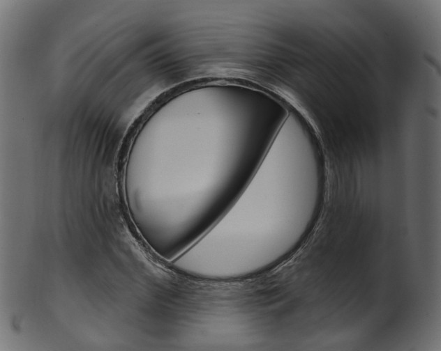 X0000102040972200807181026
