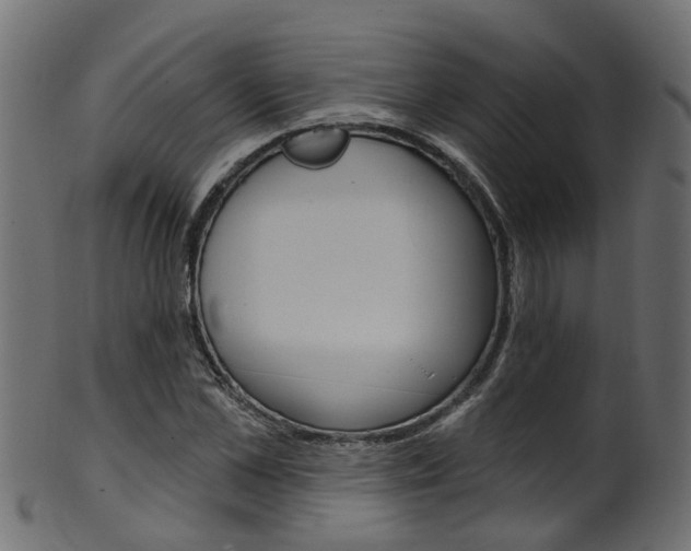 X0000102040973200807181026