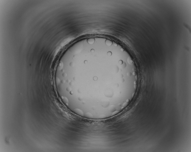 X0000102040974200807181026