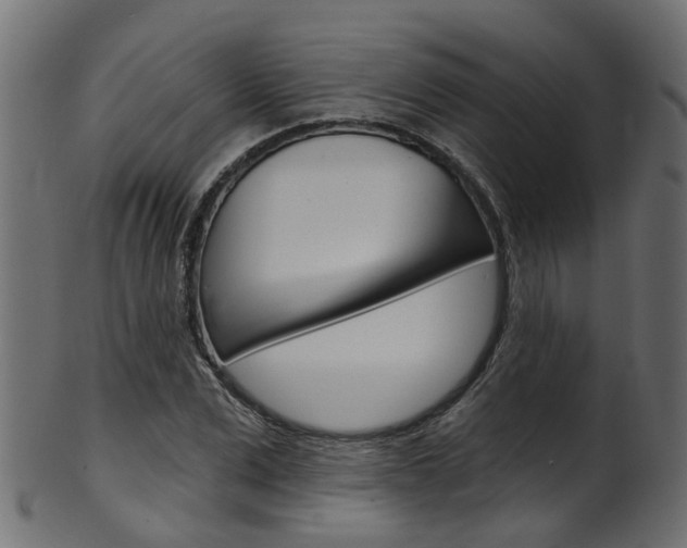 X0000102040975200807181026