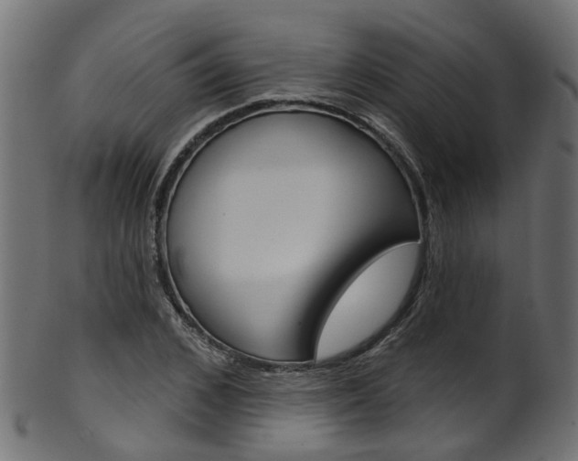 X0000102040976200807181026