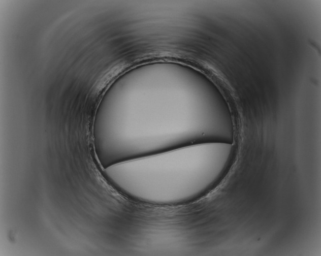 X0000102040977200807181026