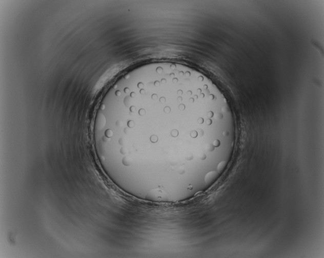 X0000102040978200807181026