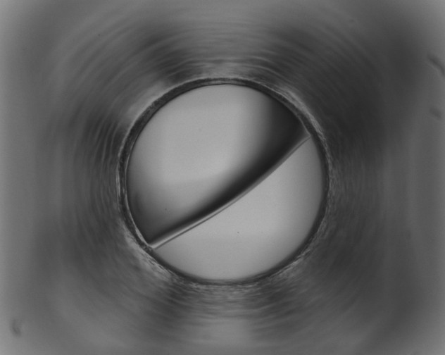 X0000102040980200807181026