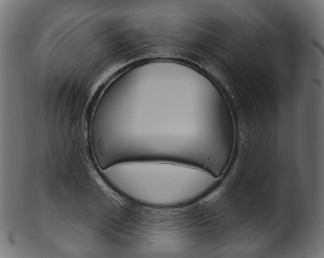 X0000102040981200807181026