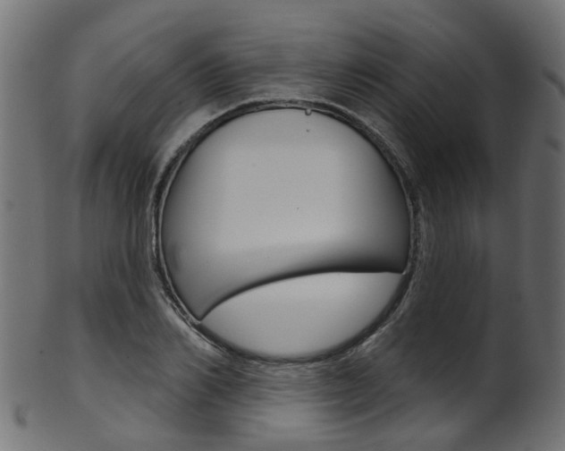 X0000102040982200807181026