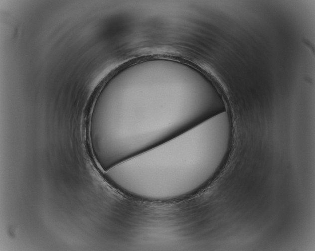 X0000102040983200807181026