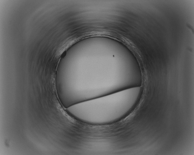 X0000102040985200807181026