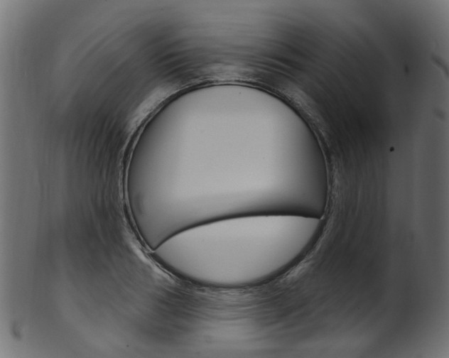 X0000102040986200807181026