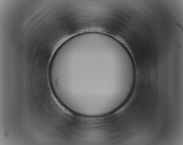 X0000102040989200807181026