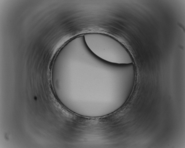 X0000102040990200807181026