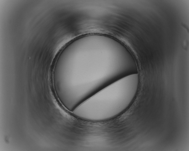 X0000102040991200807181025